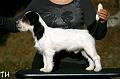 100926_romeo 4 kk